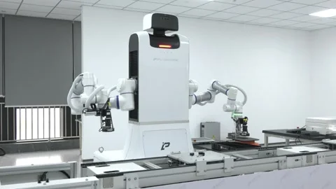 China: Embodied robots become China's new factory workforce Stock Footage 325958904