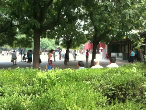 China Stock Footage 538143