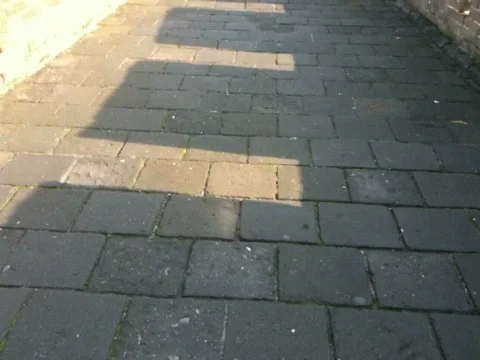 China Stock Footage 538280