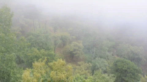 China Stock Footage 698207