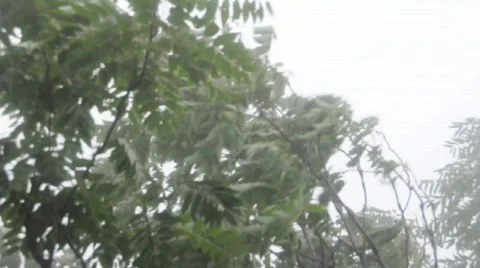 China Stock Footage 698225