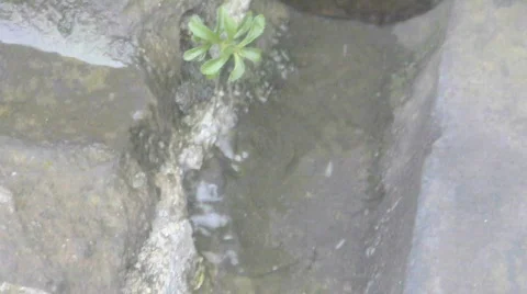 China Stock Footage 698228