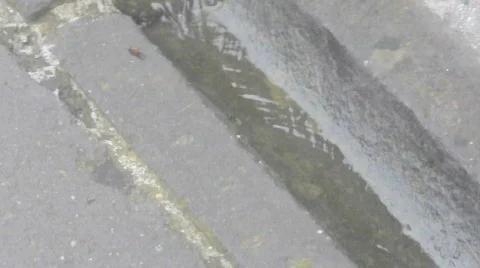 China Stock Footage 698229