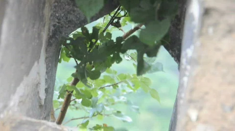 China Stock Footage 698243