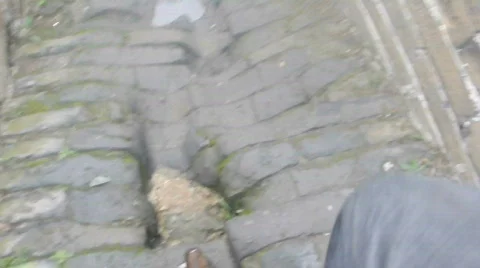 China Stock Footage 698255