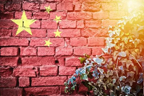 China grunge flag on brick wall with ivy plant sun haze view Stock Illustration