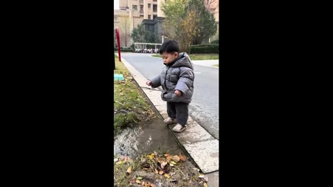 China: he Puddle Taste-Test Gone Wrong Stock Footage 323347900