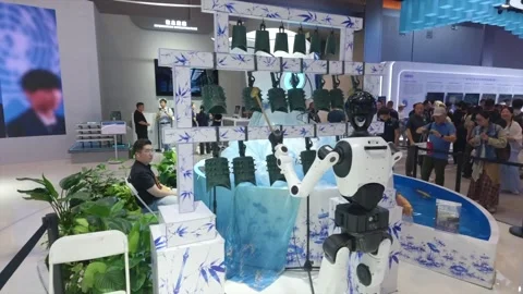China: Humanoid robots demonstrate full-chain technological evolution at ... Stock Footage 345570796