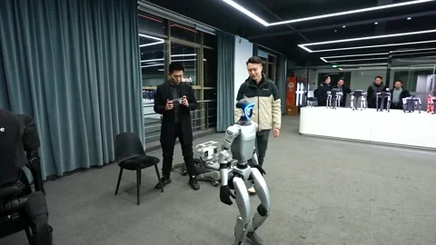 China: Industry leaders predict rapid breakthroughs in humanoid robotics Vídeo Stock 331123356