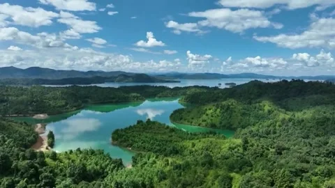 China injects strong impetus to global climate governance: white paper Stock Footage 320773977