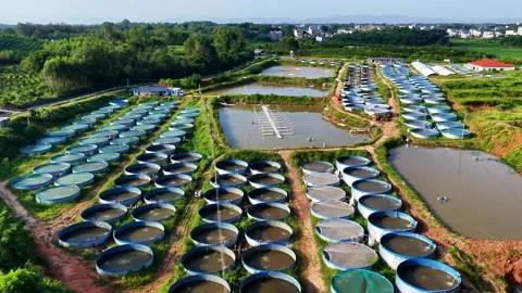 China: Land-based Circular Pond Breeding Farm Stockbeeldmateriaal 344257338