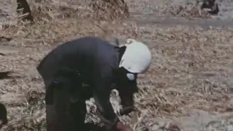 China Leaps Forward, Production Development 1958 (49) Stock Footage 237859886