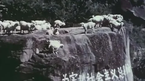 China Leaps Forward, Production Development 1958 (56) Stock Footage 237859919