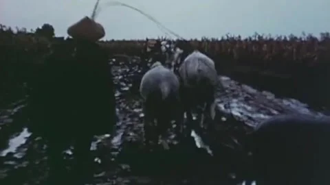 China Leaps Forward, Production Development 1958 (80) Stock Footage 237860034