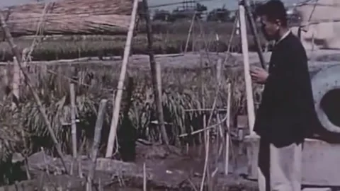 China Leaps Forward.Production Development 1958. (195) Stock Footage 237575302