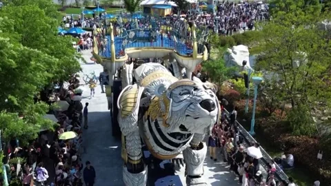 China: Life-like bionic animals roar to life at Chinese theme parks 스톡 동영상 320805982