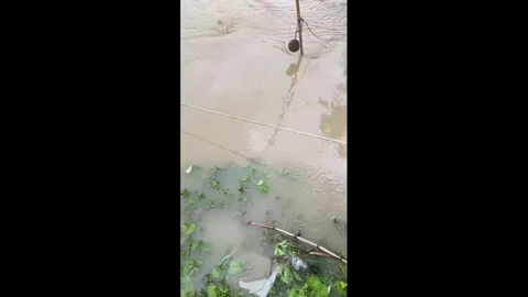 China: Man catches massive fish with net as people gather by river in Zhe... Stockbeeldmateriaal 344292098