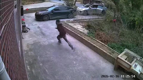 China: Man runs back in panic as barking dog chases him in Foshan, China Stock Footage 331347760