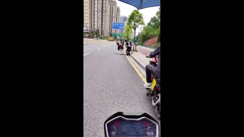 China: Motorists pause as snake safely crosses road in Guangdong, China Stock Footage 336003756