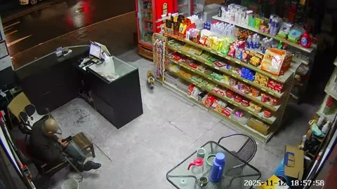 China: Owner reunites with missing cat inside convenience store in Zhejia... Stock Footage 321363624