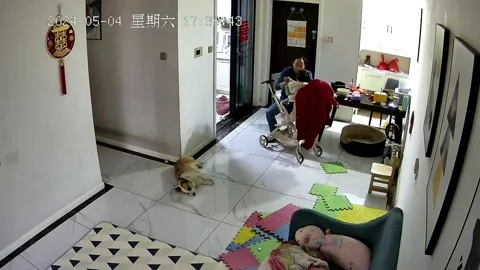China: Quick-thinking father catches infant falling from stroller Stock Footage 276308521
