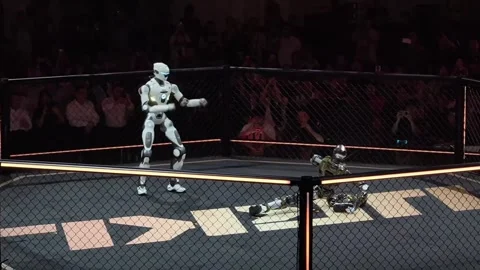 China: Robot marks fight victory with a cheeky celebration dance Stock Footage 340379361