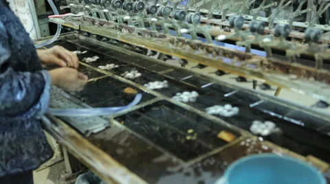 China silk factory Stock Footage 44421794
