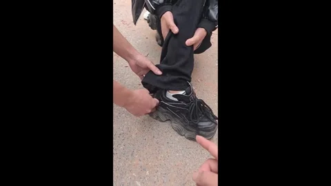 China: Startled guinea pig dives into Chinese mans trouser leg and refus... Stock Footage 344638376