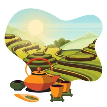 China tea green terrace fields plantation. Japanese tea ceremony, vector cart イラスト素材