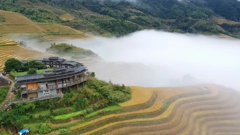 China terraced fields with sea of clouds Stock Footage