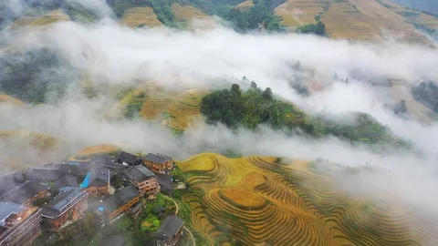 China terraced fields with sea of clouds Stock Footage