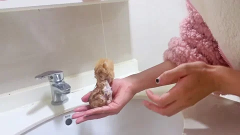 China: Tiny wet kitten gets a sink bath in Sichuan, China Stock Footage 326375617