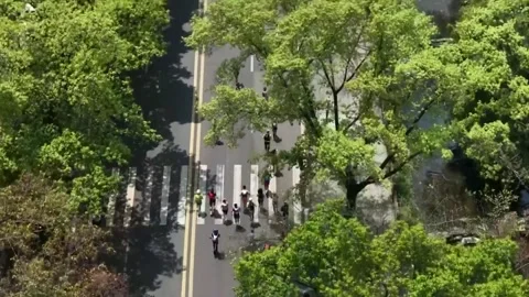 China: Trail challengers conquer Mount Emei in Sichuan Stock Footage 333580679