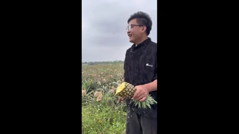 China: What a Juicy Pineapple! Stock Footage 321664332