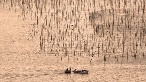 ChinaFishTraps 스톡 동영상 139605383