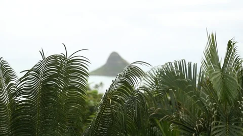 Chinaman's Hat Stock Footage 93592844