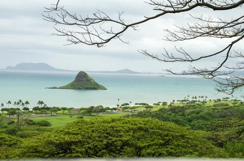 Chinaman's Hat Stock Photos