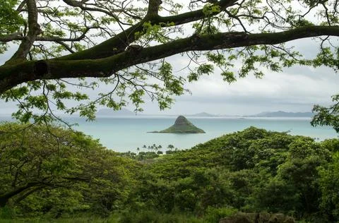 Chinaman's Hat Stock Photos
