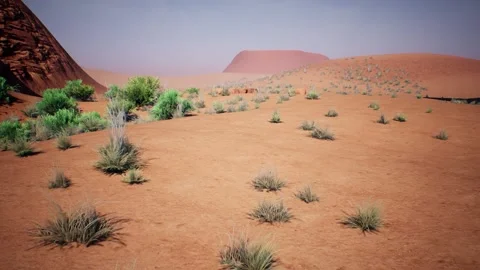 China's arid desert Stock Footage 196532100