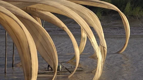 ChinaSails 스톡 동영상 139605452