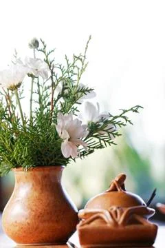 Chinaware Fotos Stock