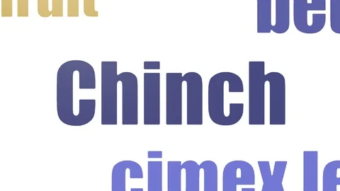 Chinch Tagcloud Animated Isolated Stock Footage 103673407
