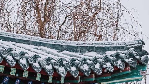 Chinese ancient eaves drifting snow Stock Footage 233577682