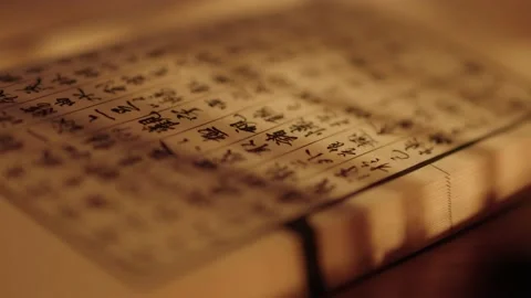 Chinese ancient style Stock Footage 233862774