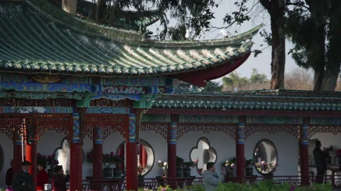 Chinese architecture Stock Footage 233893621