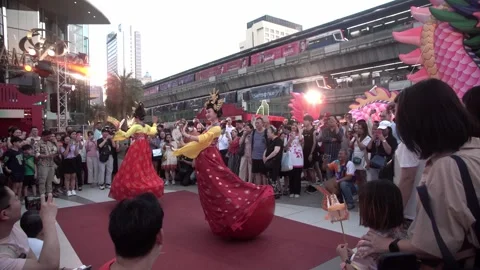 Chinese art performance during the Chinese Lunar New Year 2024. Stock Footage 293688813