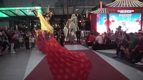 Chinese art performance during the Chinese Lunar New Year 2024. Stock Footage 293690219