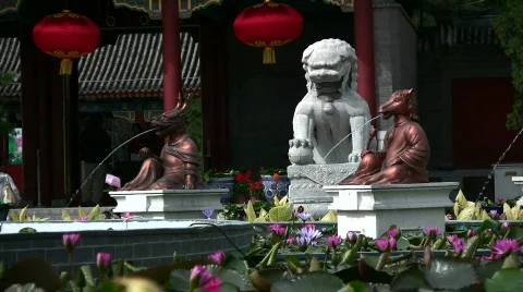 The Chinese astrology Stock Footage 264718