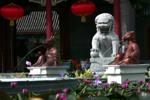 The Chinese astrology Stock Footage 302267