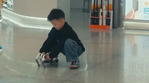 Chinese Boy Playing with Robot Dog on Floor Inside Shenzhen Electronics Market Stock Footage 333924018